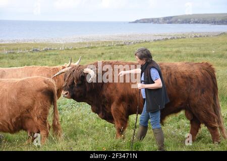 Lesley Matheson, Brue, Highland Cattle, Isle of Lewis, Western Isles, Scozia, Regno Unito Foto Stock