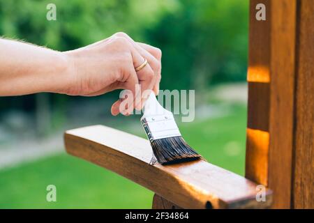 mano femmina che tiene una spazzola che applica vernice di vernice su a. sedia da giardino in legno - pittura e cura del legno con olio Foto Stock