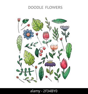Set di doodle disegnate a mano degli elementi floreali. Fiori, piante, foglie. Illustrazione Vettoriale