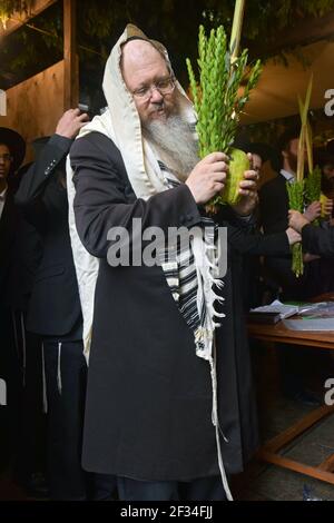 Un rabbino Chabd benedice le 4 specie di Sukkos in un Sukkah in Crown Heights, Brooklyn, New York City. Foto Stock