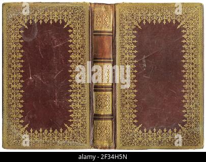 Copertina in pelle di libri antichi con splendida stampa astratta dorata in rilievo ornamenti - circa 1895 Foto Stock