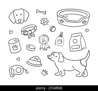 Set di teste di cani di razze diverse e accessori canini. Colletto, guinzaglio, muso, trasportatore, cibo, abbigliamento. Illustrazione Vettoriale