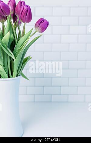 Tulipani viola appena raccolti in vaso bianco Foto Stock