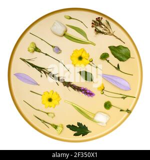 Piatto posare fiori diversi su vassoio rotondo dorato Foto Stock