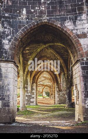 Rovine dell'abbazia di Margam, Margam Country Park, la Casa del Capitolo. Neath Port Talbot, Galles, Regno Unito Foto Stock