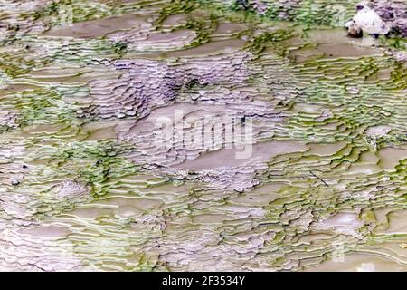 Primo piano di terrazze di silice nella zona geotermica attiva di Waiotapu, Rotorua, Nuova Zelanda Foto Stock