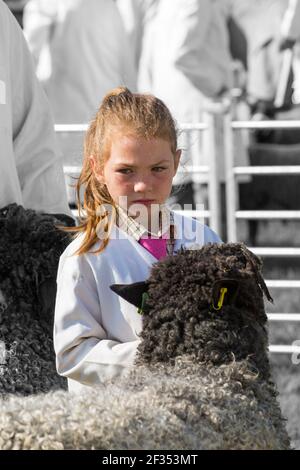 Giovane allevatore di pecore al New Forest & Hampshire County Show, Brockenhurst, Hampshire UK nel mese di agosto Foto Stock