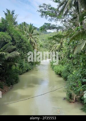 Un fiume marrone verde fiancheggiato da alberi tropicali della foresta pluviale in Gunung Kidul su Java, Indonesia. Foto Stock