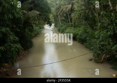 Un fiume marrone verde fiancheggiato da alberi tropicali della foresta pluviale in Gunung Kidul su Java, Indonesia. Foto Stock