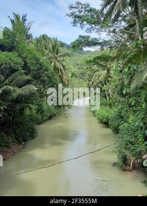 Un fiume marrone verde fiancheggiato da alberi tropicali della foresta pluviale in Gunung Kidul su Java, Indonesia. Foto Stock