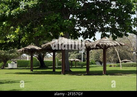 Vista sul bellissimo parco di Dubai, Emirati Arabi Uniti. Spiaggia e parco al Mamzar. Foto Stock