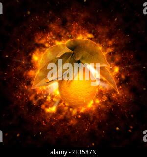 Immagine migliorata digitalmente di un arancione maturo su un albero prima del prelievo Foto Stock