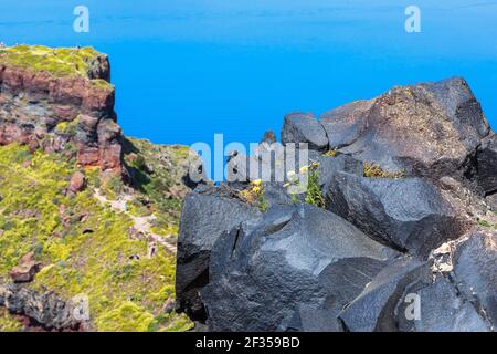 Santorini, Grecia panorama con grande roccia di pietra vulcanica e caldera, mare, fiori Foto Stock