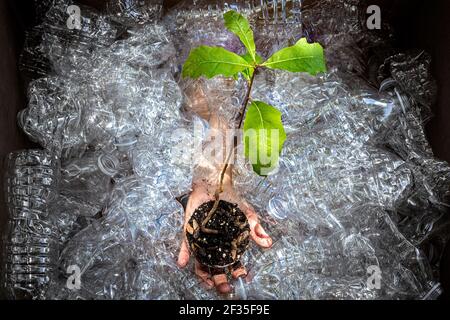 Pianta un albero ed evitare rifiuti di plastica. Concetto di tutela ambientale e movimento verde. Foto Stock