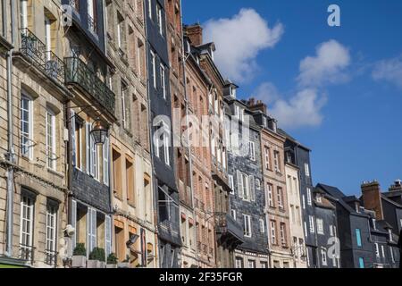 Honfleur (Normandia, Francia nord-occidentale): Facciate di edifici lungo la banchina Òquai Sainte-CatherineÓ che si affaccia sul ÒVieux Bassin' (molo vecchio) Foto Stock