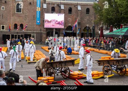 Mercato del formaggio di Alkmaar, Noord-Holland, Paesi Bassi Foto Stock