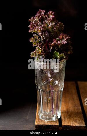 Kale lascia fresco verde riccio in vaso di vetro su un vecchio sfondo di legno. Messa a fuoco selettiva. Cibo vegetariano sano. Foto Stock