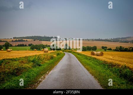Strada stretta che conduce tra due campi gialli raccolti con balle a rulli di paglia. Vista estiva sulla campagna francese. Foto Stock