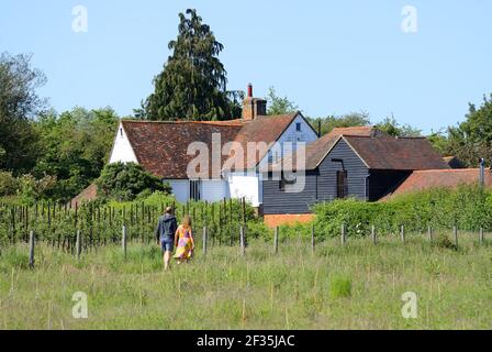 Boughton Monchelsea Village, Kent, Regno Unito. Frutteto di mele e fattoria - coppia a piedi Foto Stock