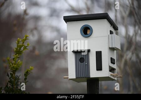 Nest box e alimentatore combinati in una casa di fronte di alcuni alberi Foto Stock