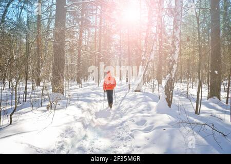 Una giovane donna entra per gli sport invernali - nordic walking, passeggiate con bastoni attraverso una foresta innevata. Persone attive in natura. Foto Stock