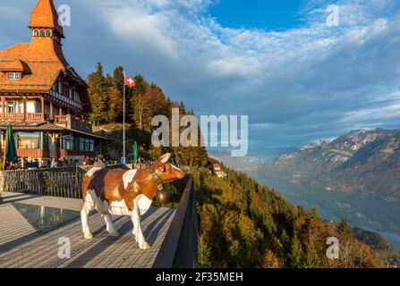 Svizzera, Interlaken, Harder Kulm, la vista del lago Thun dalla terrazza del ristorante Foto Stock