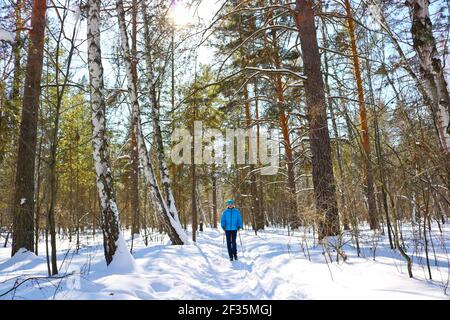 Una giovane donna entra per gli sport invernali - nordic walking, passeggiate con bastoni attraverso una foresta innevata. Persone attive in natura. Foto Stock