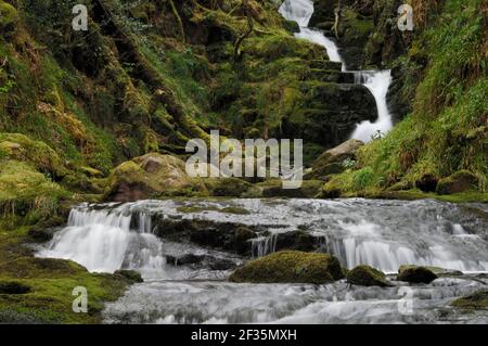 O' Sullivan's Cascade, Tomies Wood, Killarney National Park, County Kerry, Credit: Robert Thompson/Avalon Foto Stock