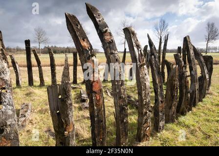 Resti di devastanti di un naufragio di 300 anni 'Queen Anne', trovato durante gli scavi in un campo a Rutten, nei Paesi Bassi. Cielo nuvoloso Foto Stock