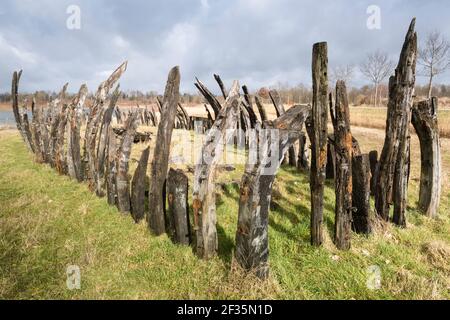 Resti di devastanti di un naufragio di 300 anni 'Queen Anne', trovato durante gli scavi in un campo a Rutten, nei Paesi Bassi. Cielo nuvoloso Foto Stock