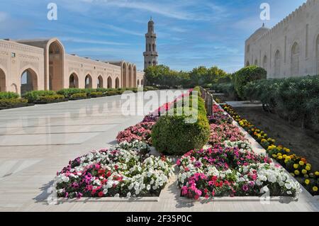 Giardino colorato curato e splendida architettura islamica moderna Sultan Qaboos Grande Moschea pavimenti in marmo bianco lucido e minareto oltre Mascate Oman Foto Stock