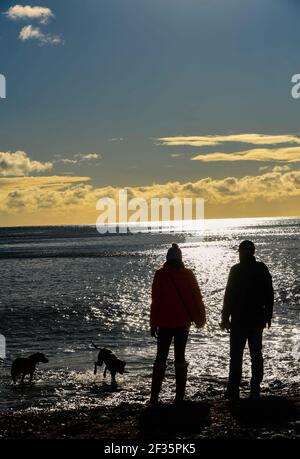 Due persone che camminano due cani su una spiaggia al tramonto vicino al mare Foto Stock