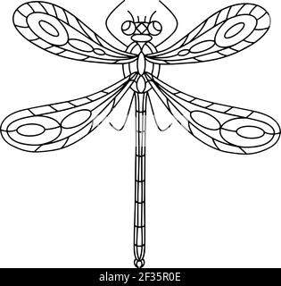 Libro da colorare Dragonfly Beetle-Insect. Illustrazione vettoriale lineare Dragonfly. Libro da colorare antistress per adulti e bambini Illustrazione Vettoriale