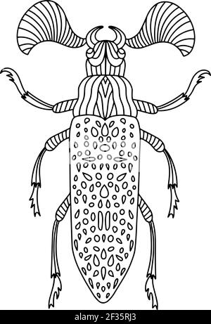 Il coleottero fanous è un libro di colore degli scarabei dell'insetto. Libro da colorare antistress per adulti e bambini. Illustrazione vettoriale Illustrazione Vettoriale