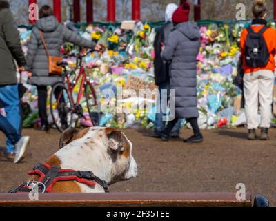 Fiori deposti in rispetto al santuario di fortuna alla donna assassinata Sarah Everard presso la tribuna di Clapham Common, a sud di Londra, Regno Unito. Foto Stock