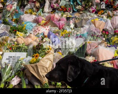 Fiori deposti in rispetto al santuario di fortuna alla donna assassinata Sarah Everard presso la tribuna di Clapham Common, a sud di Londra, Regno Unito. Foto Stock