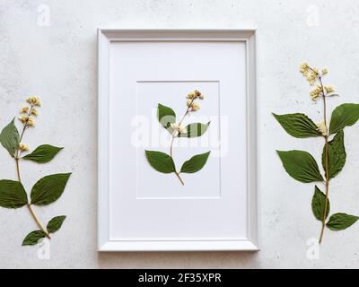 cornice bianca con un bel fiore secco su fondo bianco di cemento. concetto estivo minimo. posa piatta. vista dall'alto Foto Stock