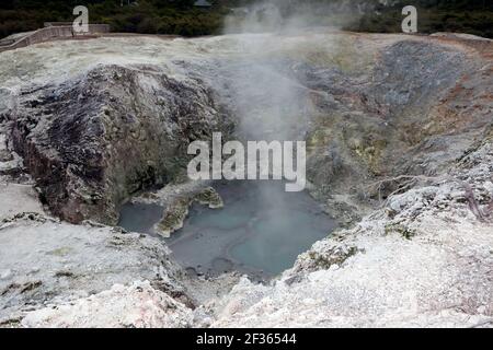 Vista all'interno di un grande crateri vulcanici fumanti nella regione geotermica di Wai-o-tapu in Nuova Zelanda Foto Stock