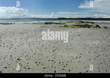 LUGWORM Arenicola marina calchi e burrows ben Derg Bay, Credit:Robert Thompson / Avalon Foto Stock