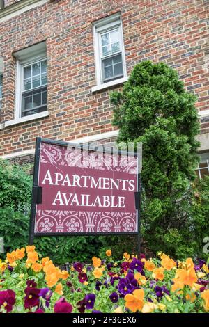 Washington DC, Logan Circle, cartello con la disponibilità di appartamenti in affitto nelle vicinanze, Foto Stock