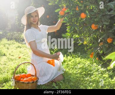 Bella giovane donna attraente che indossa abiti bianchi e raccoglie arance al tramonto dall'albero nel giardino di Antalya Turchia. Copia spazio, persone Foto Stock