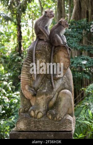 Scimmia cynomolgus su una statua di elefante nel tempio delle scimmie a Ubud, Bali Foto Stock