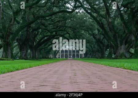 Oak Alley Plantation Foto Stock