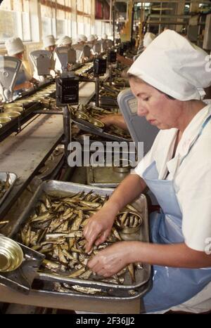 Tallinn Estonia donna lavoratrice Esmar Sardine Corporation stabilimento di trasformazione, Foto Stock