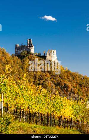 Rovine di Senftenberg, Krems-Land District, bassa Austria, Austria Foto Stock