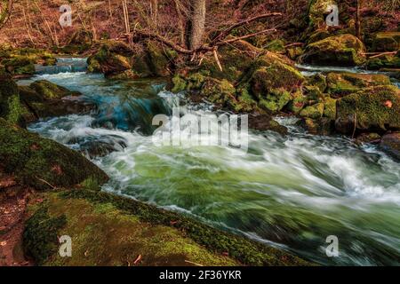 Le rapide nella parte inferiore del Prüm vicino Irrel in Eifel, Germania. Le cascate Irrel del Prüm. Foto Stock