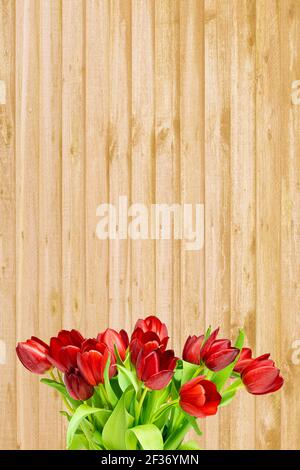 Mazzo di tulipani rossi sullo sfondo di tavole di legno dorate, da utilizzare come sfondo allegro o romantico Foto Stock