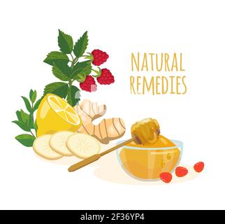 Rimedi naturali ingredienti limone, zenzero, menta, lampone, miele. Concetto di medicina popolare. Trattamenti domestici per raffreddori, influenza, naso che cola, febbre e immun Illustrazione Vettoriale