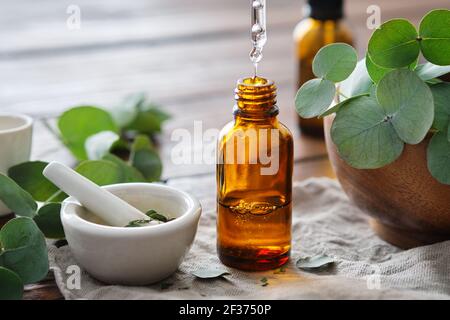 Bottiglia di olio di eucalipto, mortaio e ciotola di legno di foglie di eucalipto verde. Primo piano di una goccia di olio essenziale di eucalipto che gocciola da una goccia di vetro Foto Stock