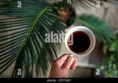 Vista dall'alto di una tazza di caffè femminile, sfondo verde con piante di casa. Foto Stock